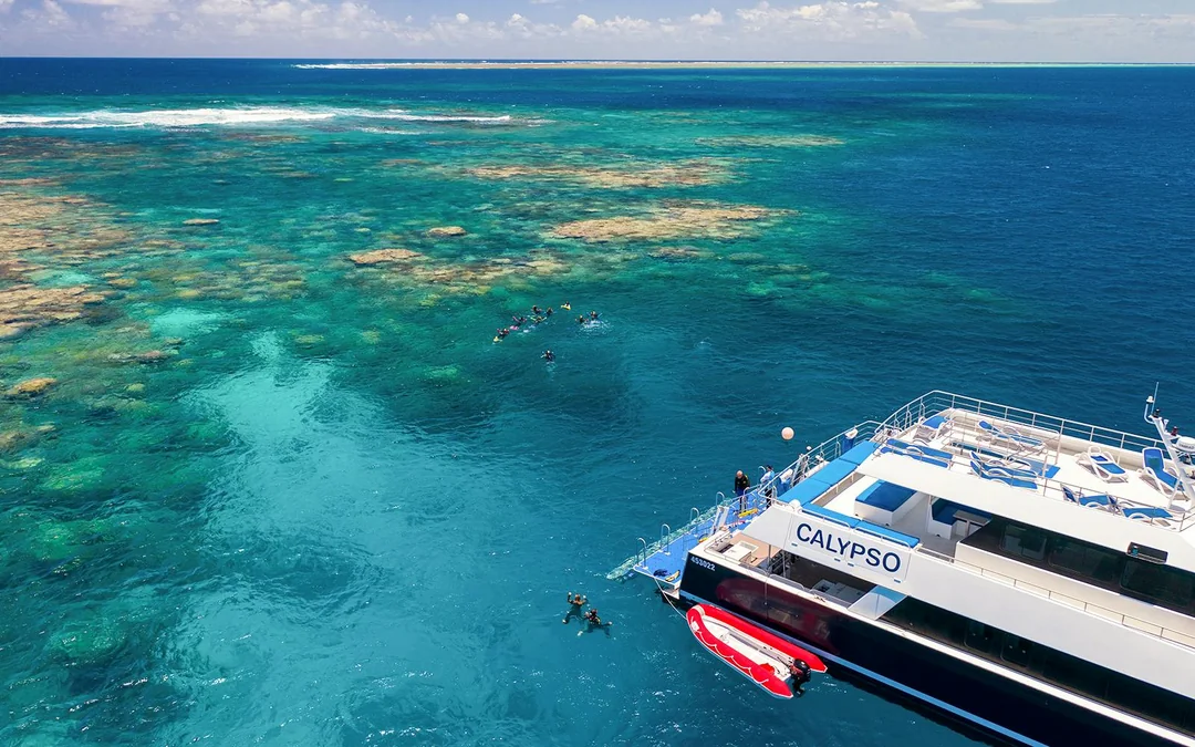 Port Douglas to Great Barrier Reef Cruise with Guided Snorkel and Lunch Image 11
