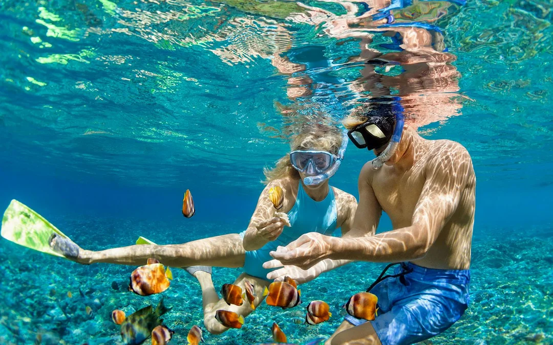 Port Douglas to Great Barrier Reef Cruise with Guided Snorkel and Lunch Image 3