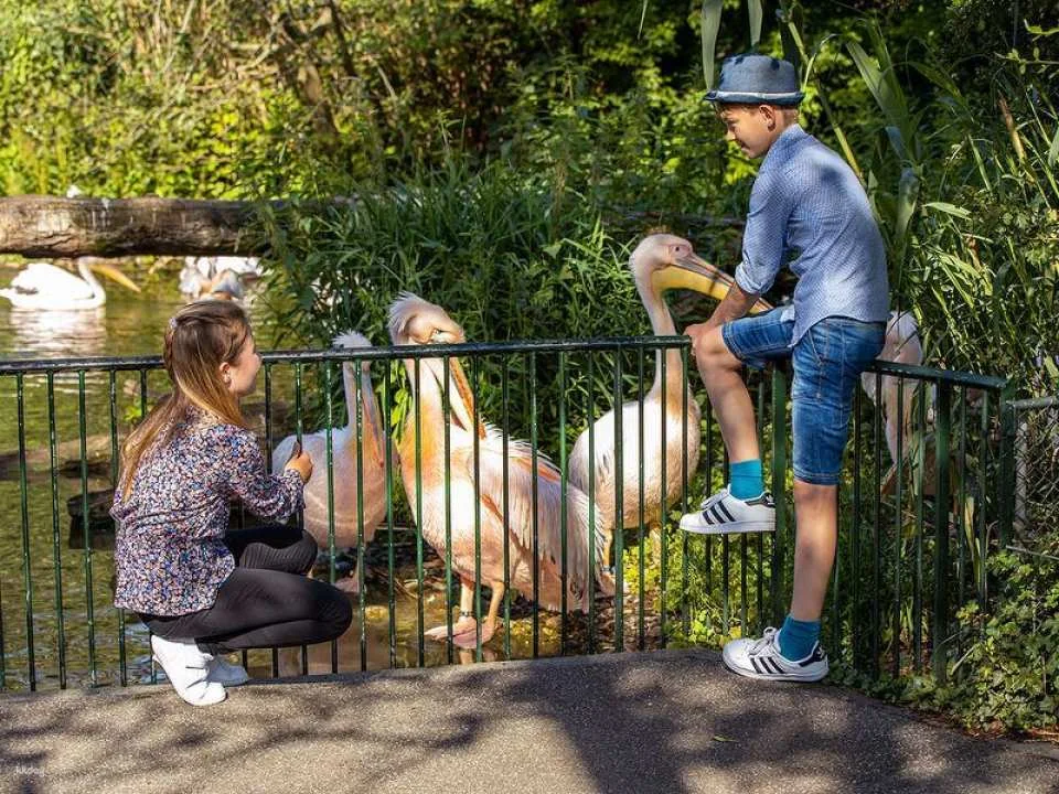 Post run "Basil at the Zolli" incl. ticket Basel Zoo