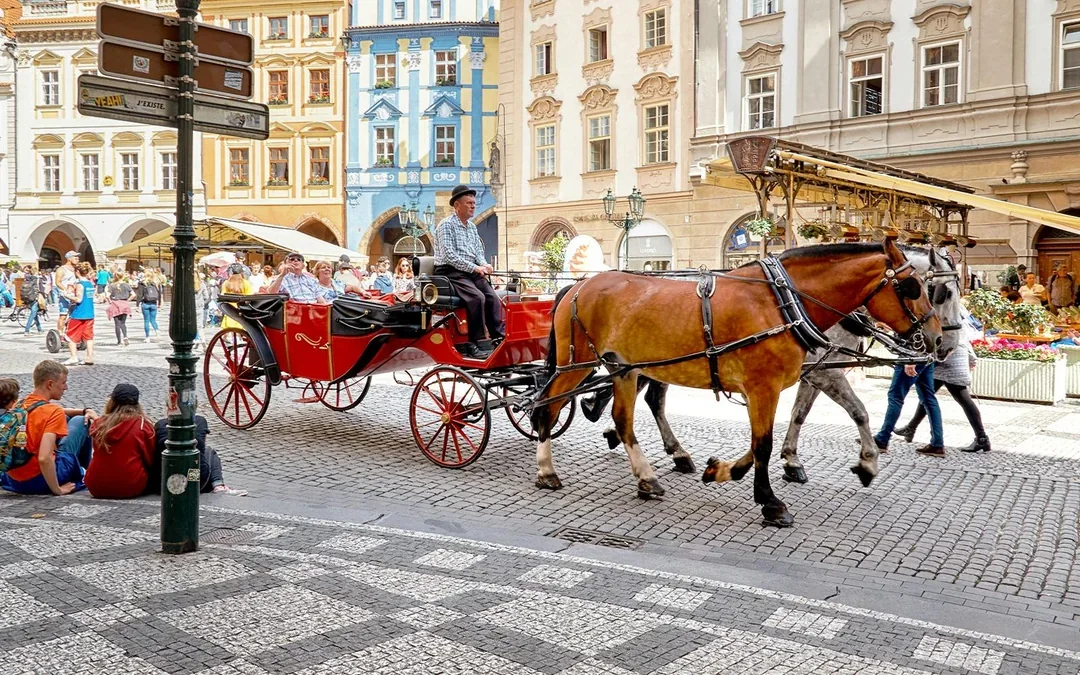 Prague Guided Tour with River Cruise, Czech Lunch & Drinks Image 2