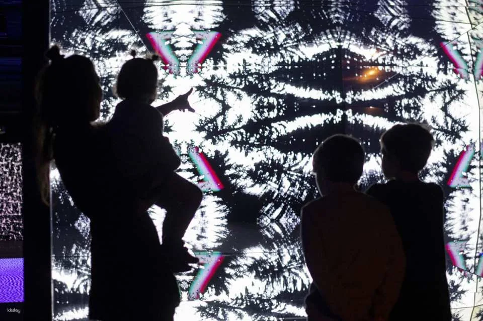Prague Lumia Light Show with Gallery Ticket | Prague