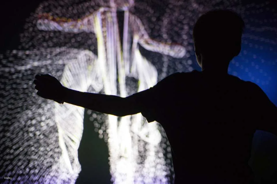 Prague Lumia Light Show with Gallery Ticket | Prague