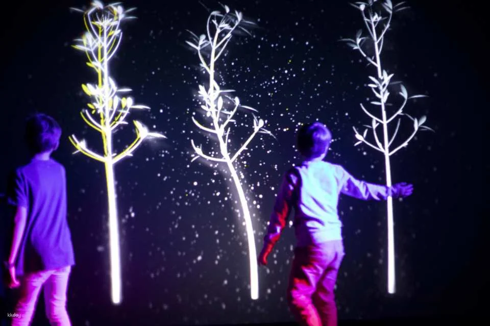 Prague Lumia Light Show with Gallery Ticket | Prague