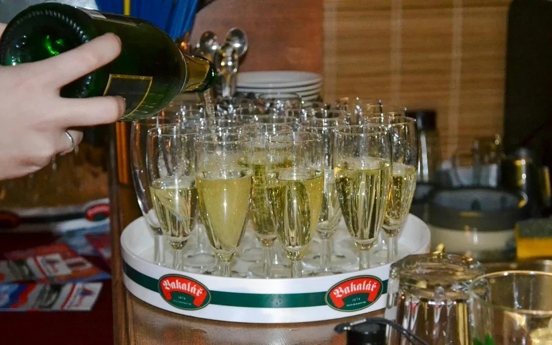 Prague Sightseeing Cruise on a Historic 1927 Passenger Boat with Drinks and Snacks Image 7