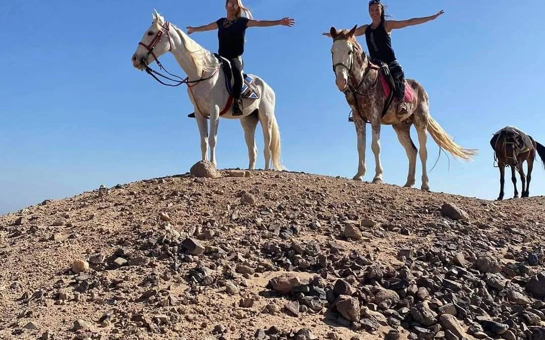 Premium 1 Hour Elite Desert Horseback Riding Adventure - Hurghada Image 1