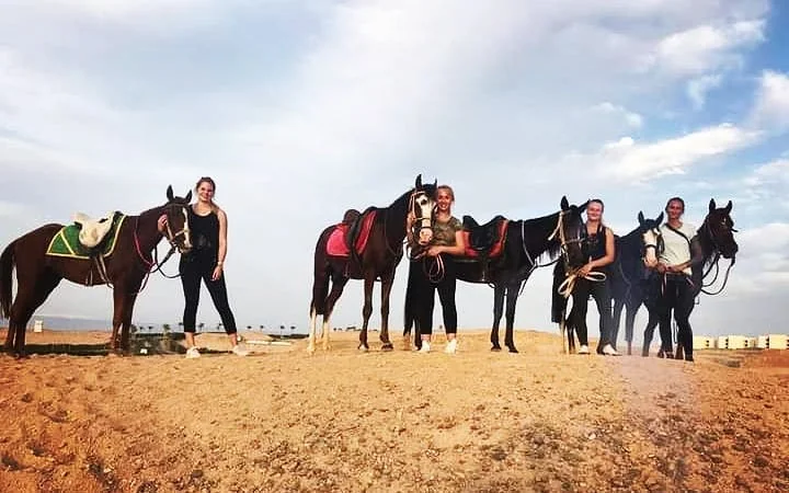 Premium 1 Hour Elite Desert Horseback Riding Adventure - Hurghada Image 4