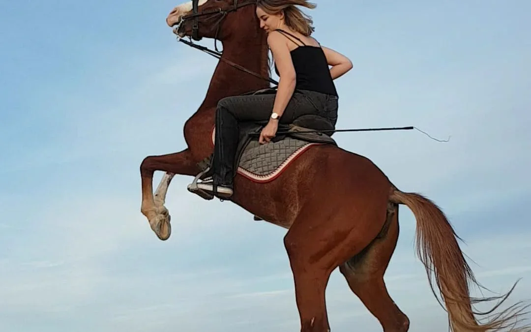 Premium 1 Hour Elite Desert Horseback Riding Adventure - Hurghada Image 10