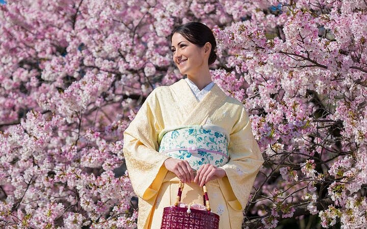 Premium Silk Kimono Rental and Dressing at Shinjuku Gyoen National Garden Image 9