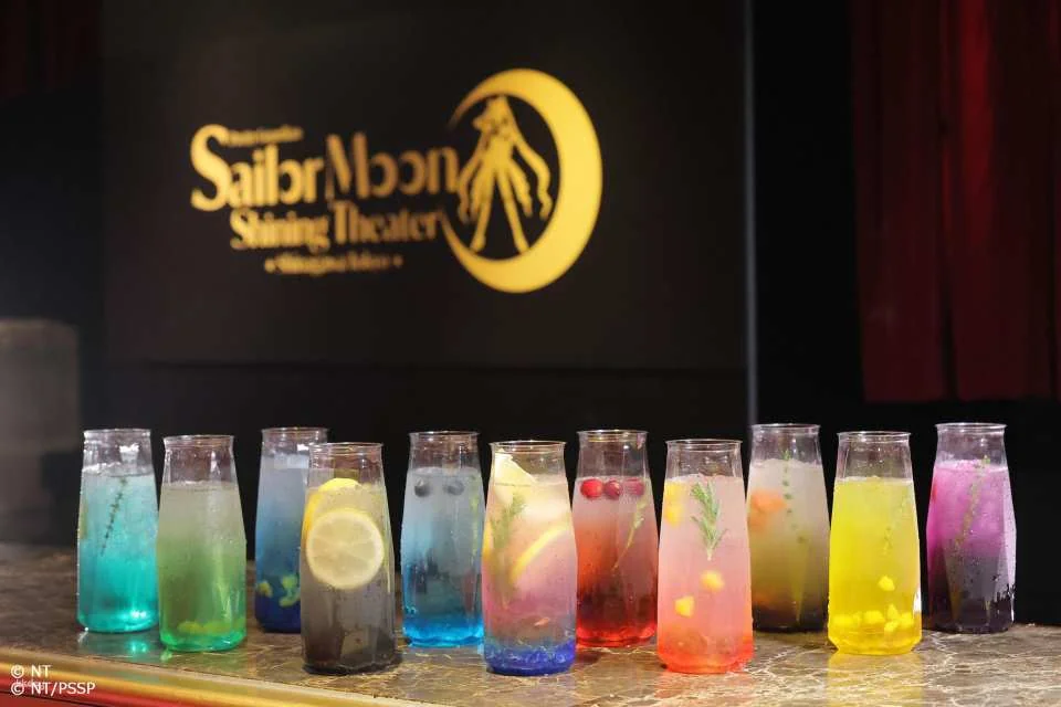 Pretty Guardian Sailor Moon -Shining Theater Shinagawa Tokyo- Advance tickets (Tokyo)