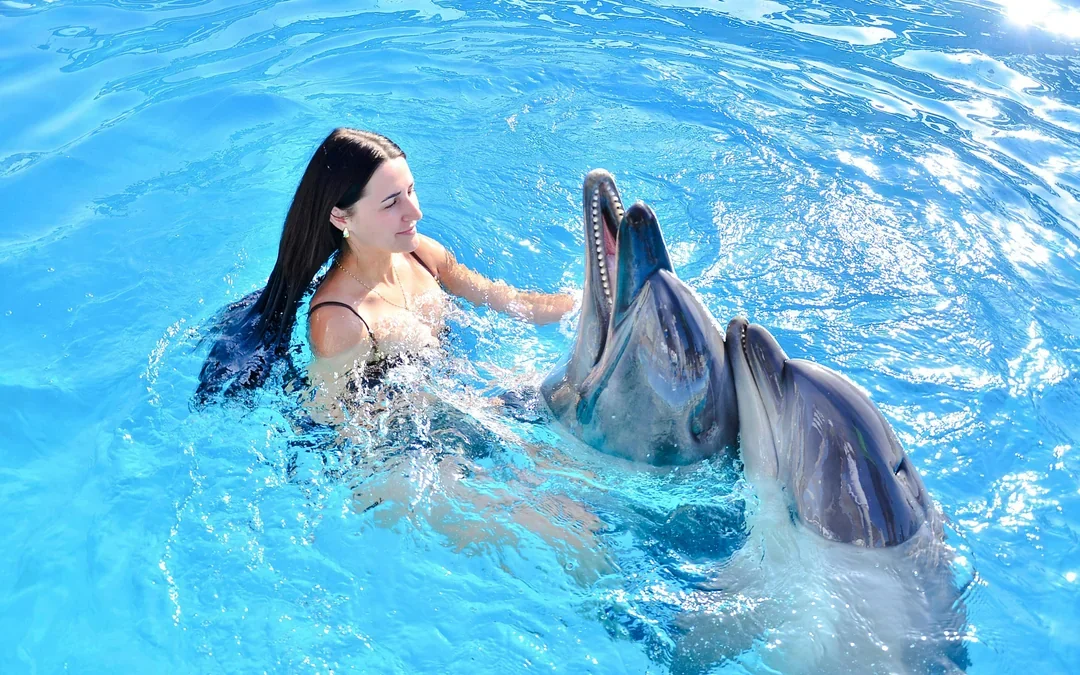Private Dolphin Swim Adventure at Hurghada Dolphin World Image 1