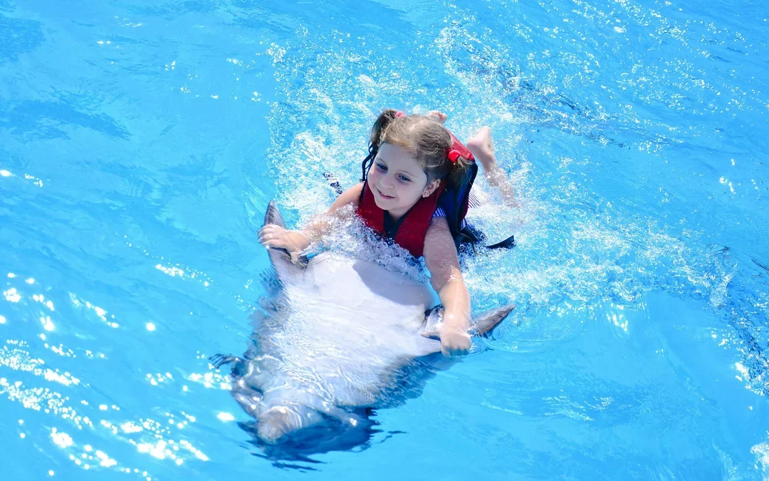 Private Dolphin Swim Adventure at Hurghada Dolphin World Image 2
