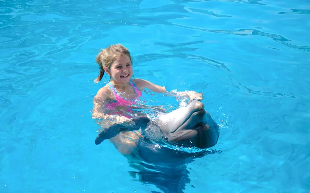 Private Dolphin Swim Adventure at Hurghada Dolphin World Image 3