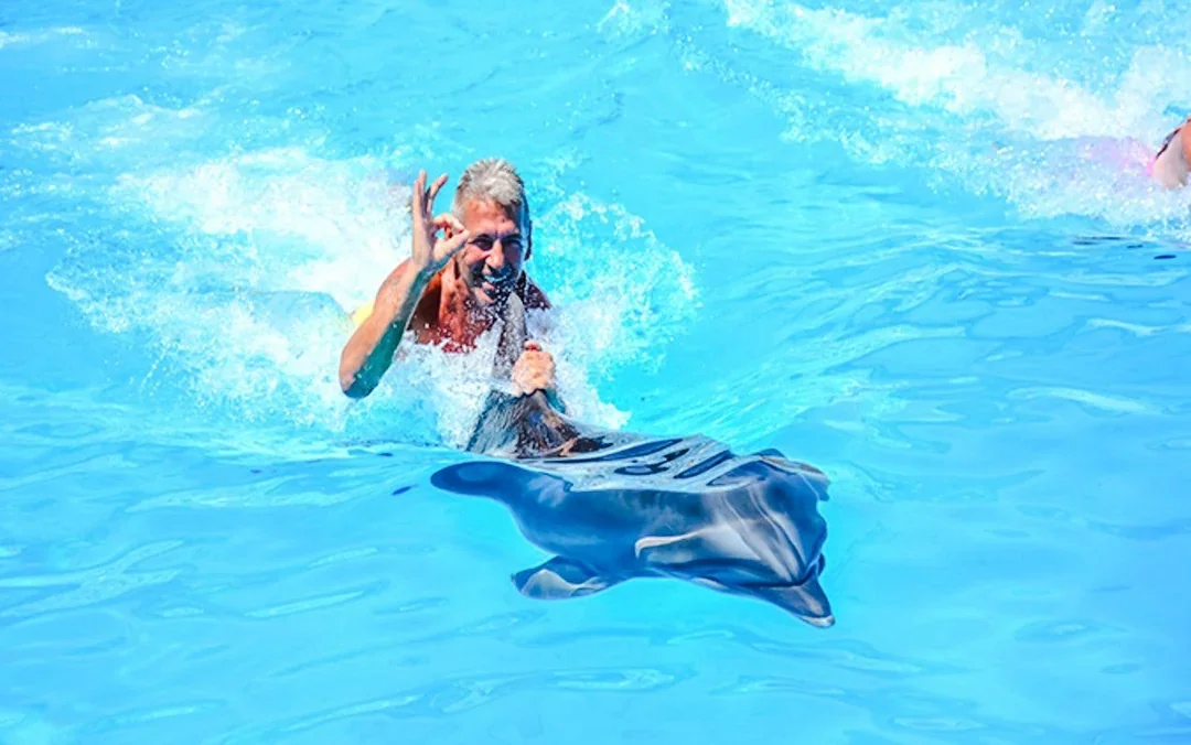 Private Dolphin Swim Adventure at Hurghada Dolphin World Image 5