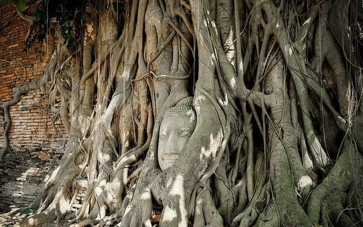 Private: Maeklong Railway Market and Ayutthaya Full Day Tour Image 1