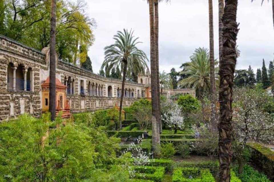 Private tour of the Alcázar of Seville