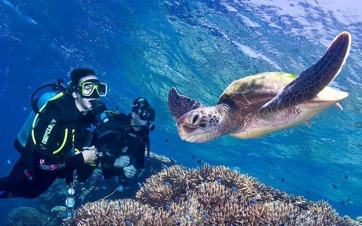 Professional Daily Diving Sea Trip Two Dives With Transfer and Lunch - Hurghada Image 2