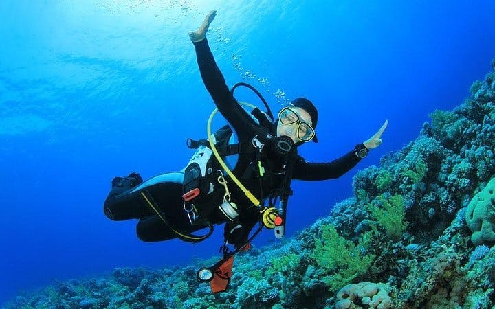 Professional Daily Diving Sea Trip Two Dives With Transfer and Lunch - Hurghada Image 3