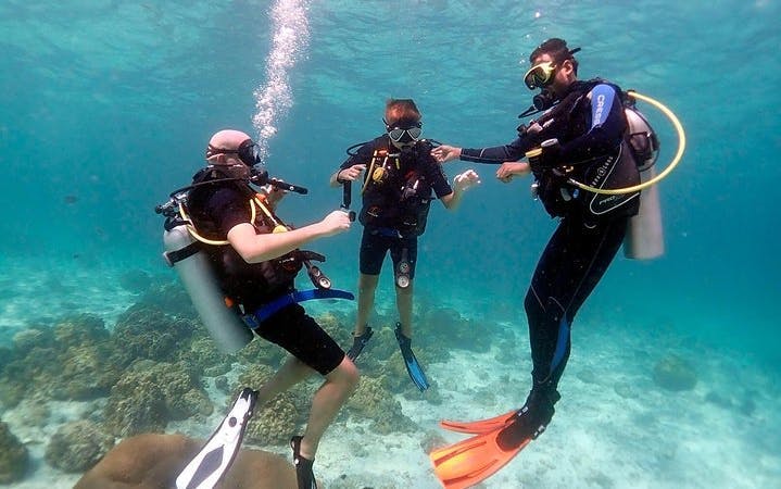 Professional Daily Diving Sea Trip Two Dives With Transfer and Lunch - Hurghada Image 4