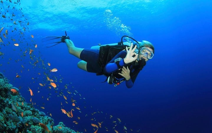 Professional Daily Diving Sea Trip Two Dives With Transfer and Lunch - Hurghada Image 5