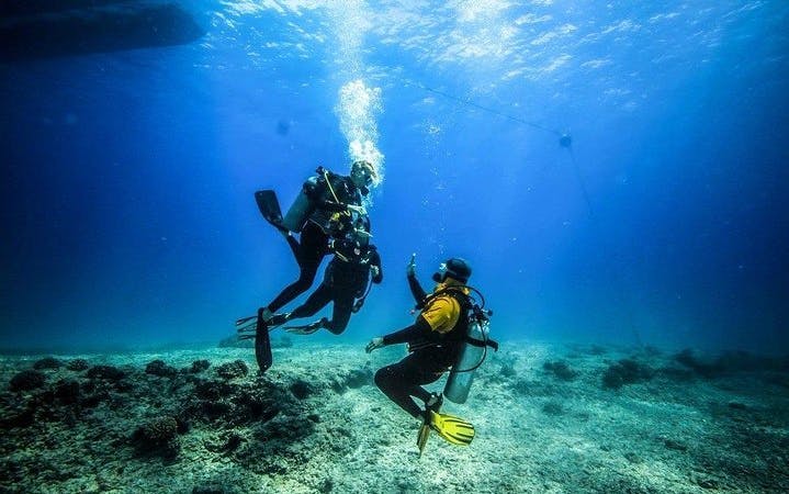 Professional Daily Diving Sea Trip Two Dives With Transfer and Lunch - Hurghada Image 10