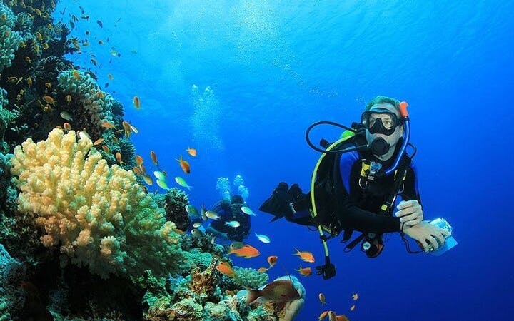Professional Scuba Diving Adventure with Lunch – Sharm El Sheikh Image 2