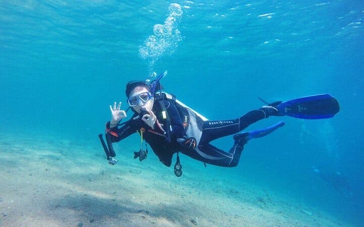 Professional Scuba Diving Adventure with Lunch – Sharm El Sheikh Image 3