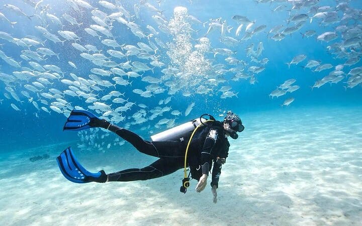 Professional Scuba Diving Adventure with Lunch – Sharm El Sheikh Image 4