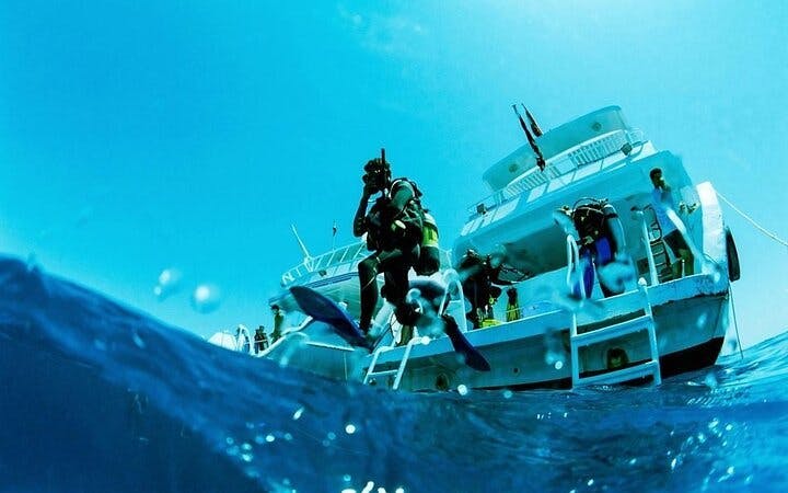 Professional Scuba Diving Adventure with Lunch – Sharm El Sheikh Image 10