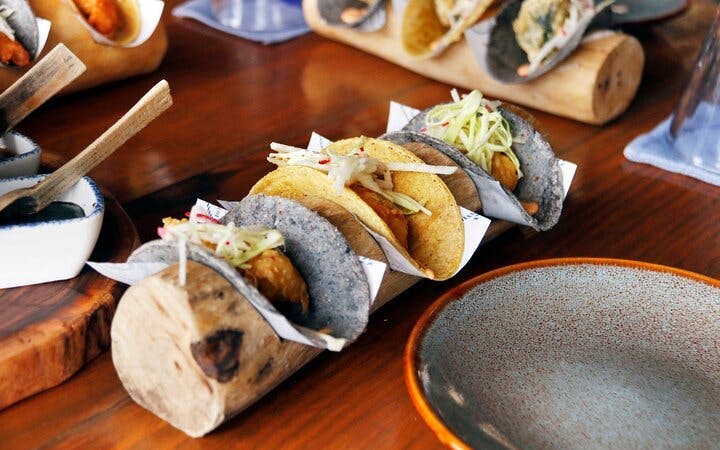 Puerto Morelos: Beachside Tacos & Town Tour with Tequila Tasting Image 1