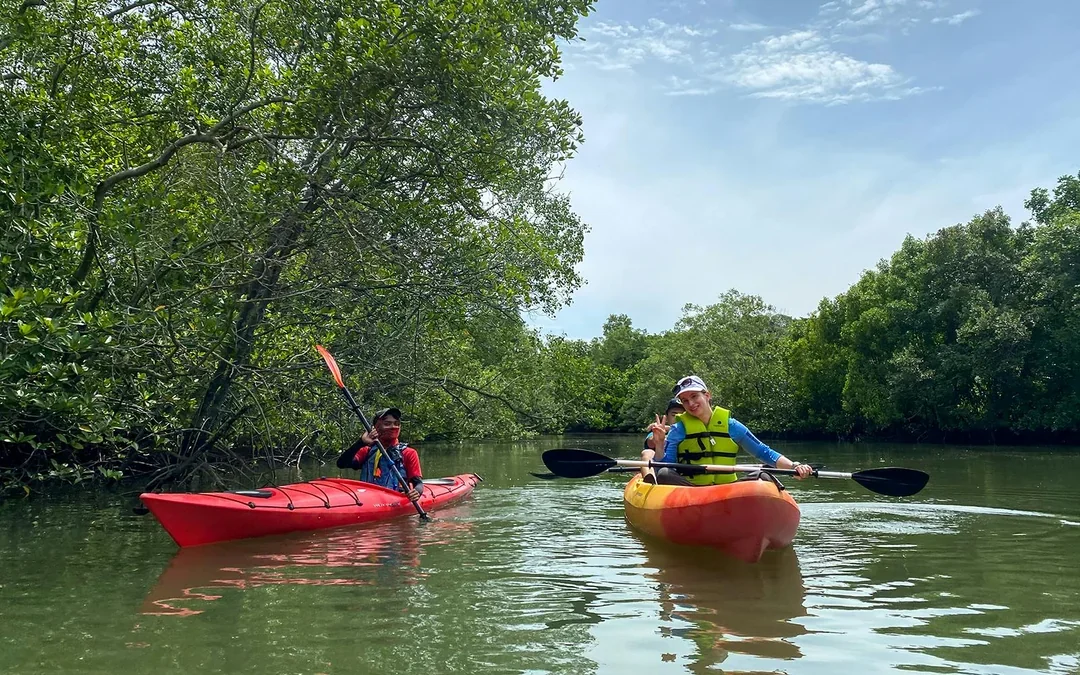 Pulau Ubin Mangrove Kayaking Adventure Image 1