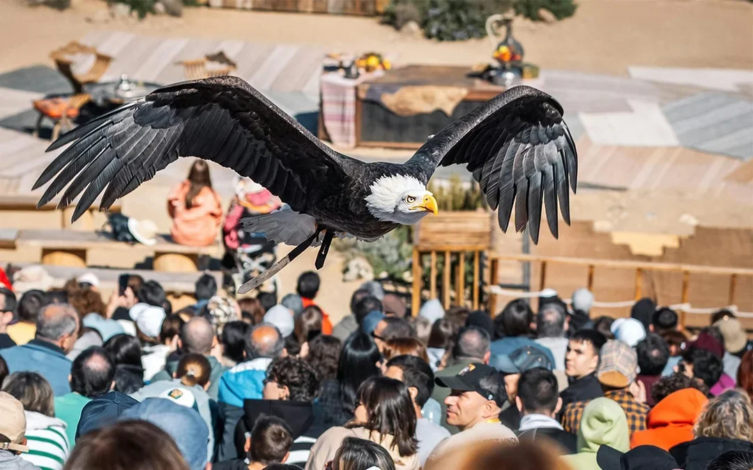 Puy Du Fou España Entry Tickets Image 7