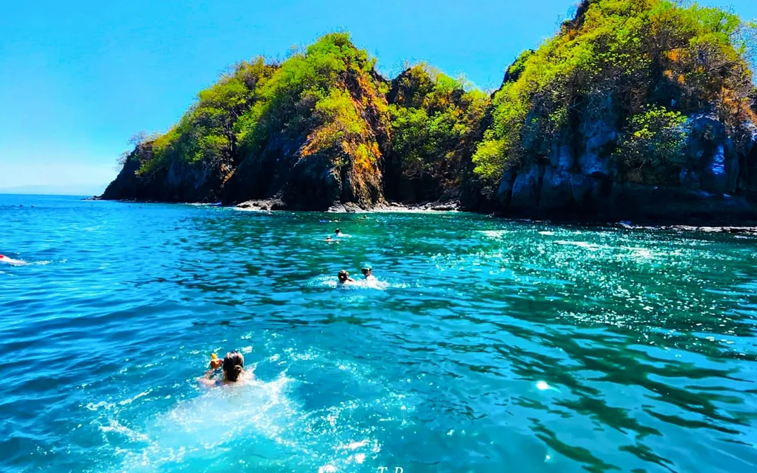 Quepos: Isla Tortuga Snorkeling Tour Image 5