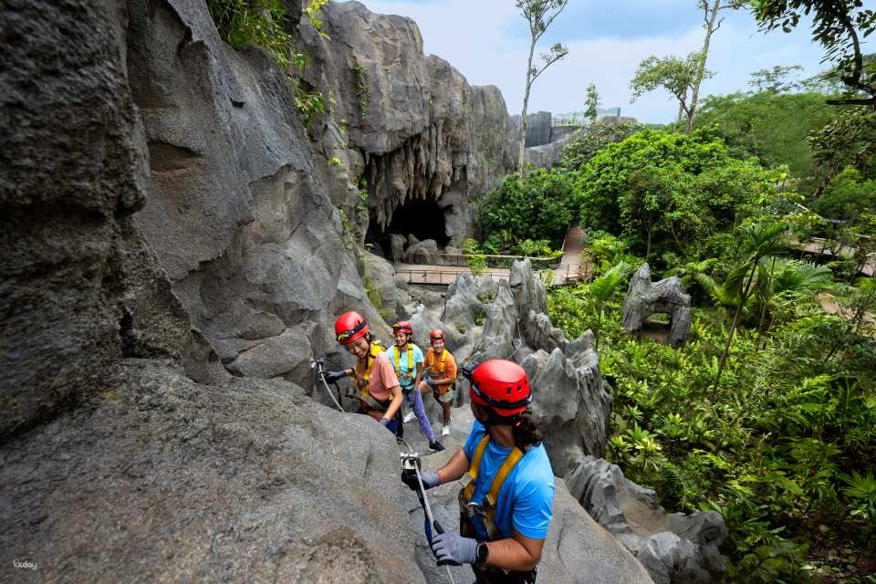 Rainforest Wild Adventure Tickets | Mandai Wildlife Reserve, Singapore