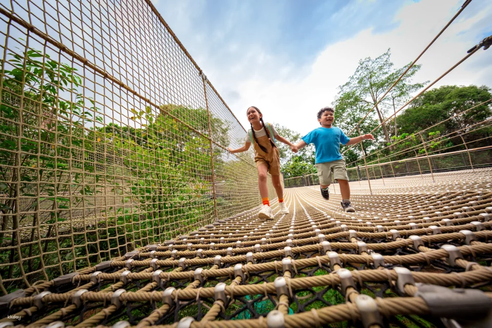 Rainforest Wild Adventure Tickets | Mandai Wildlife Reserve, Singapore