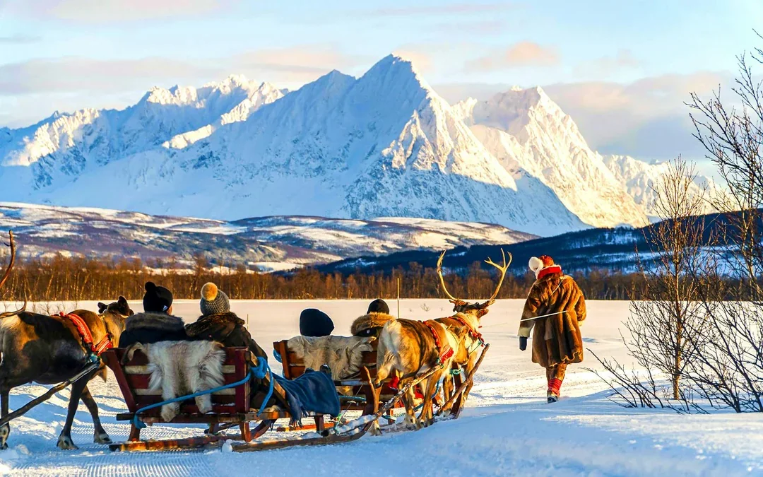 Reindeer Sledding & Sami Culture Guided Tour with Hot Drinks & Meal Image 1