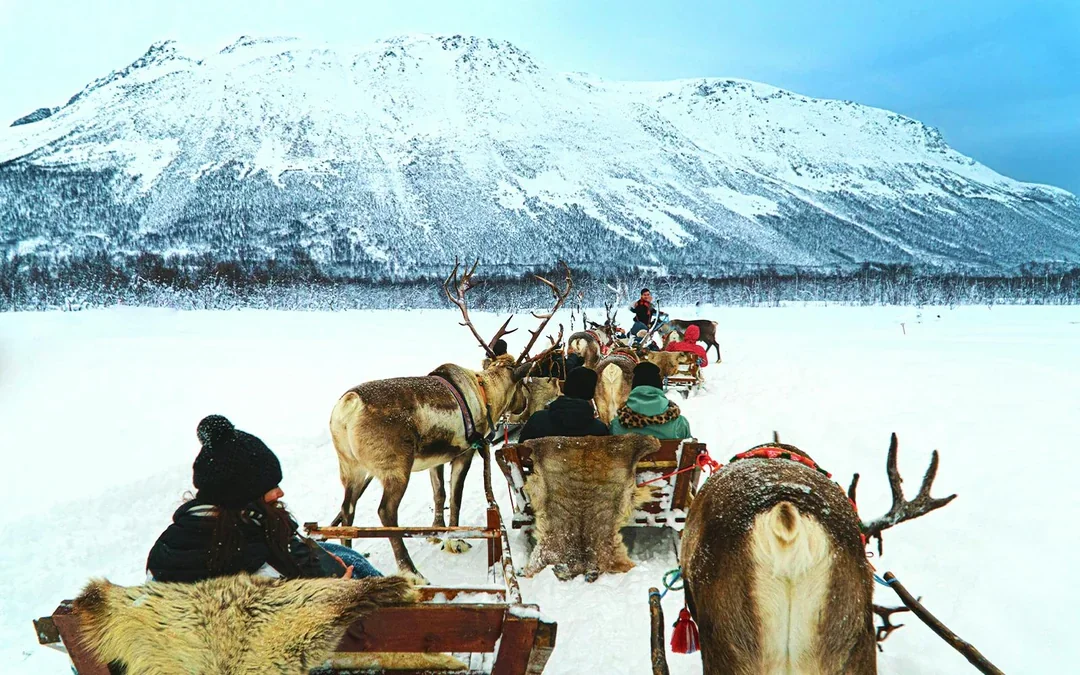 Reindeer Sledding & Sami Culture Guided Tour with Hot Drinks & Meal Image 2