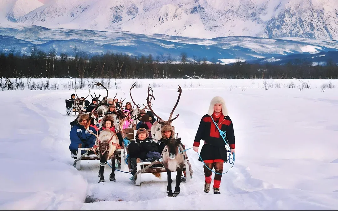Reindeer Sledding & Sami Culture Guided Tour with Hot Drinks & Meal Image 3