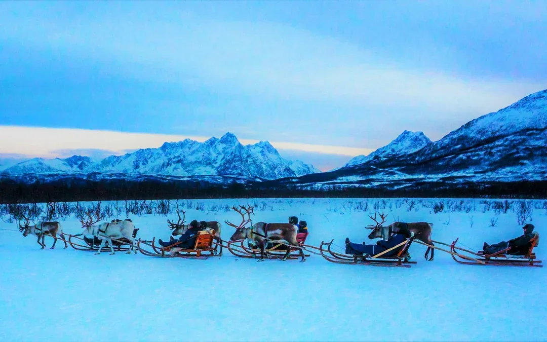Reindeer Sledding & Sami Culture Guided Tour with Hot Drinks & Meal Image 7