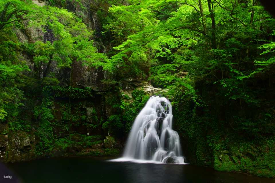 Reservations for climbing Akame 48 Waterfalls and entering Akame Waterfall Aquarium (Nabari City, Mie Prefecture)
