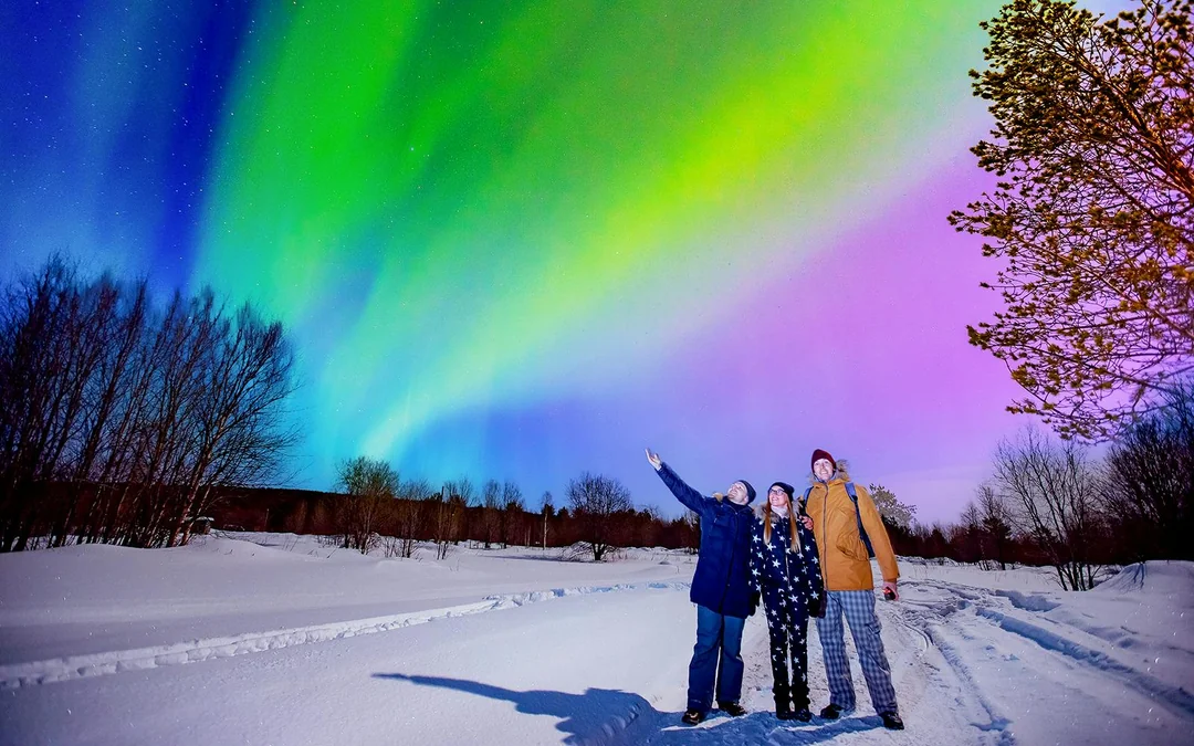 Reykjavik Combo: Northern Lights, Golden Circle & Blue Lagoon Tour Image 2