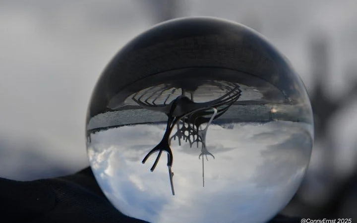 Reykjavik Guided Walking Tour of Landmarks and Hidden Gems with Icelandic Sweets Tasting Image 3