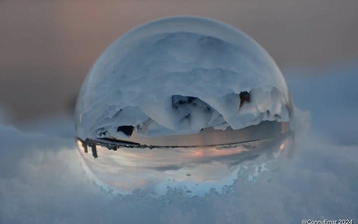Reykjavik Guided Walking Tour of Landmarks and Hidden Gems with Icelandic Sweets Tasting Image 4