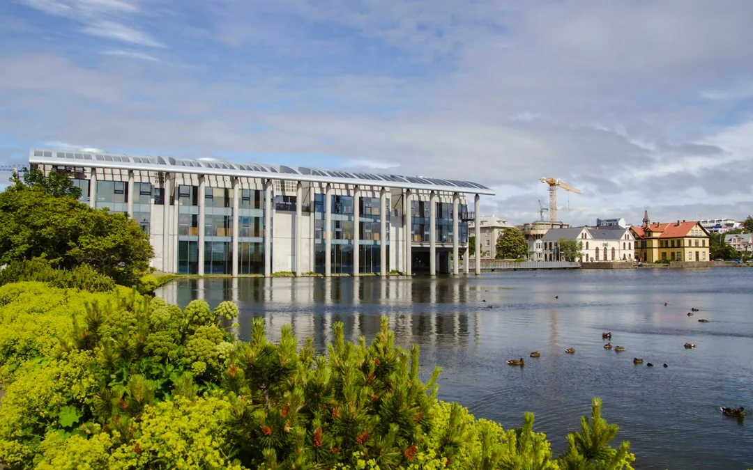 Reykjavik Old Town Private Walking Tour with Whale Watching Cruise Tickets Image 2