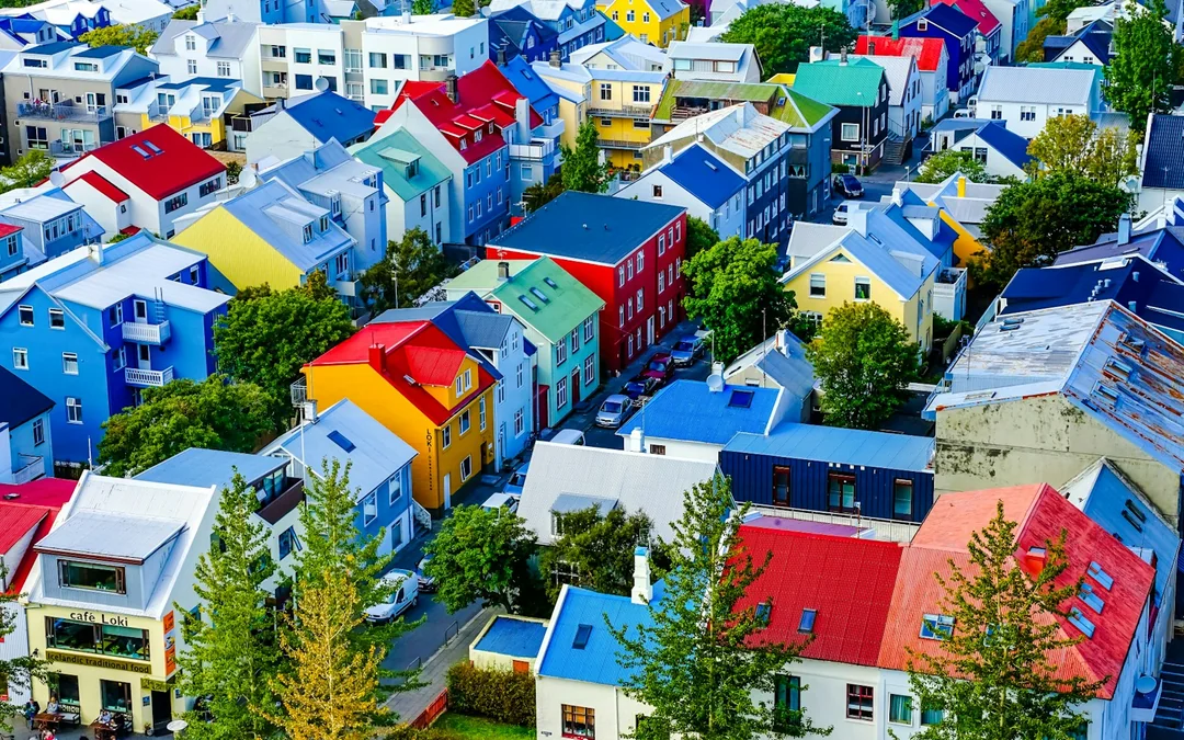 Reykjavik Old Town Private Walking Tour with Whale Watching Cruise Tickets Image 5