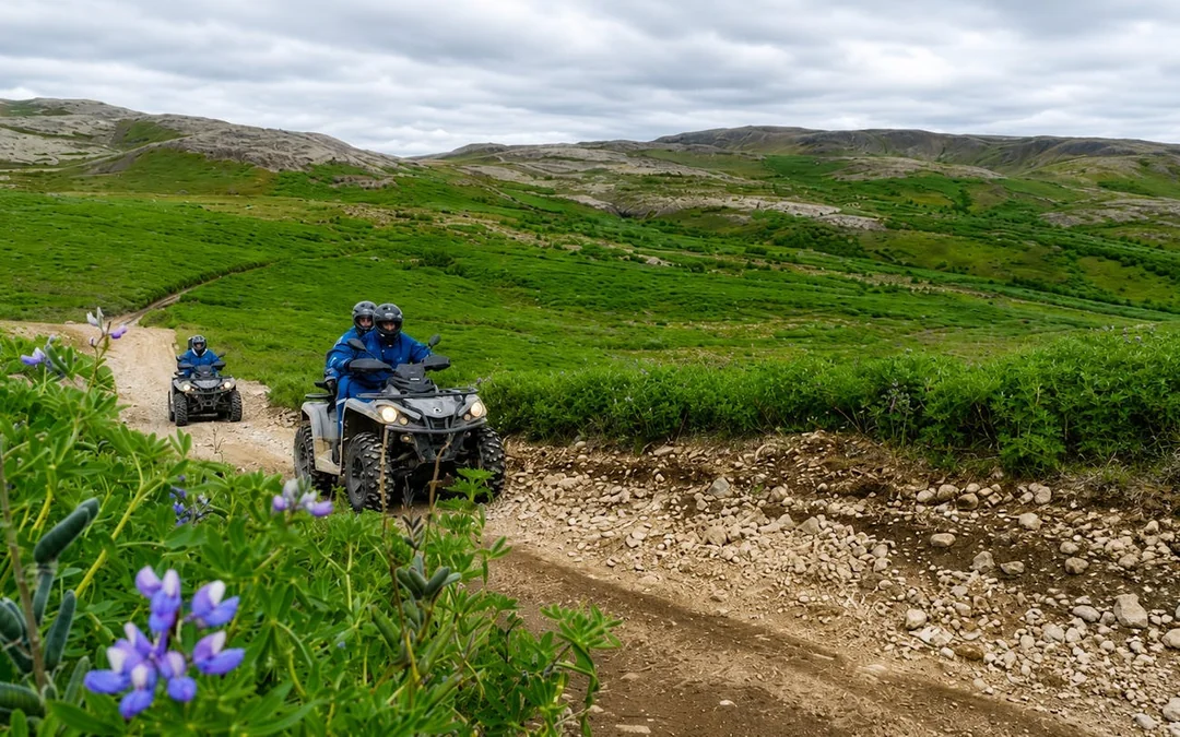 Reykjavik Peak ATV Tour with Panoramic City and Lake Views Image 3