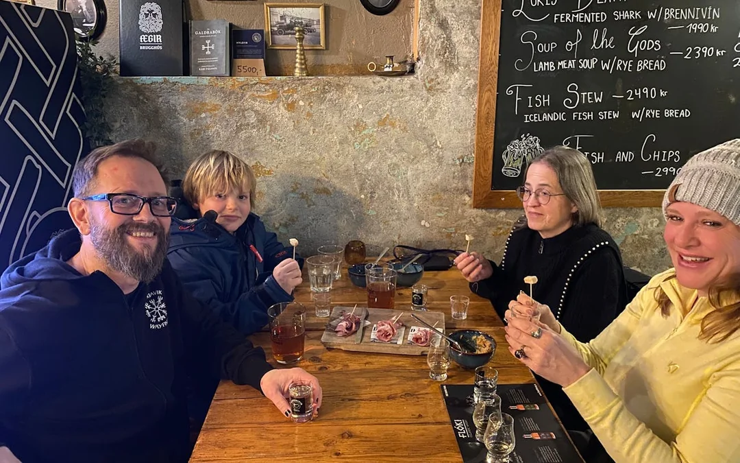 Reykjavik Private Punk Music History and Icelandic Food Tasting Tour Image 6