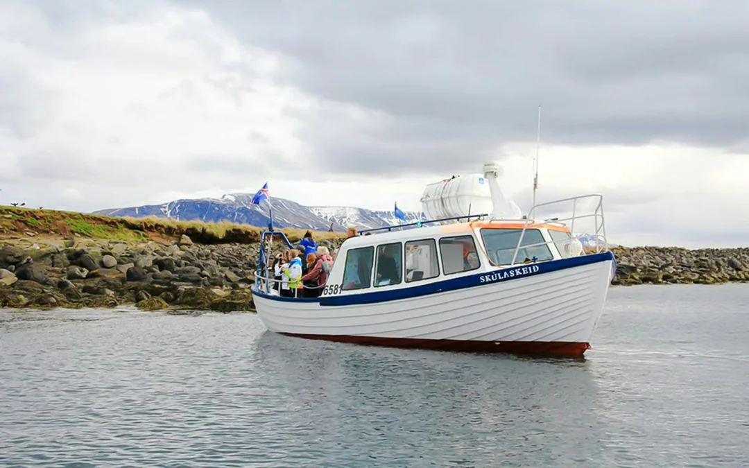 Reykjavik: Puffin Watching Boat Tour Image 2