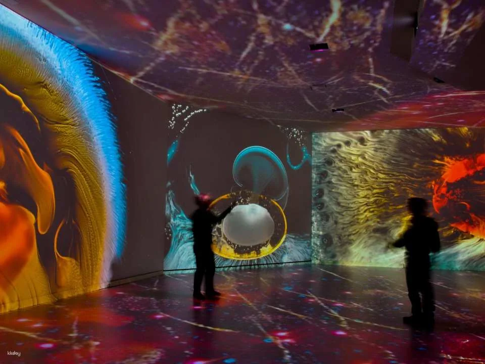 Rhyality Immersive Exhibition at the Rhine Falls