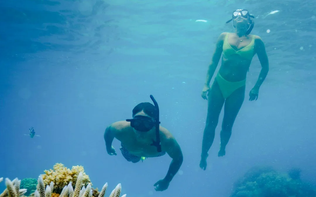 Ride and Slide: Half-Day Snorkelling Cruise with Hotel Transfers Image 9