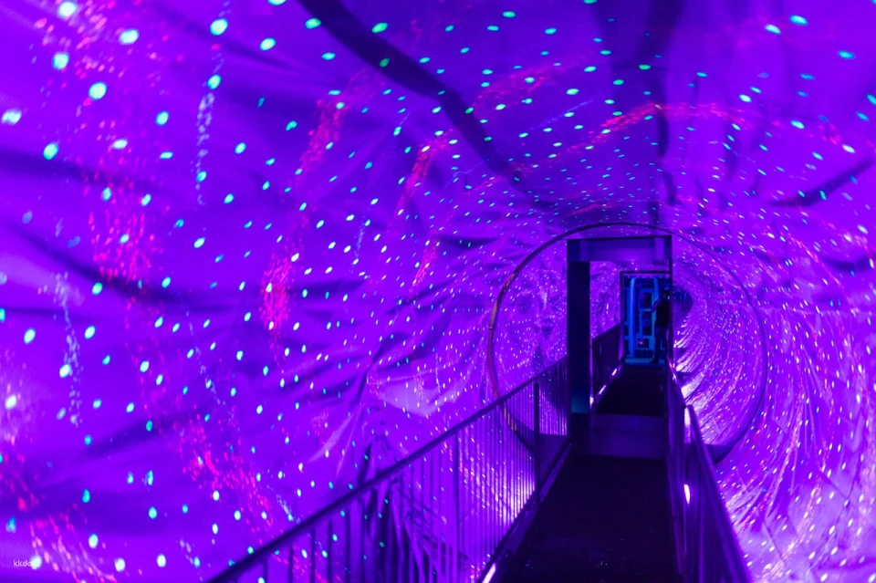 Ripley's Believe It or Not! Amsterdam